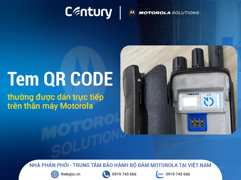 Tem QR CODE này thường được dán trực tiếp trên thân máy (sau khi mở Pin ra)